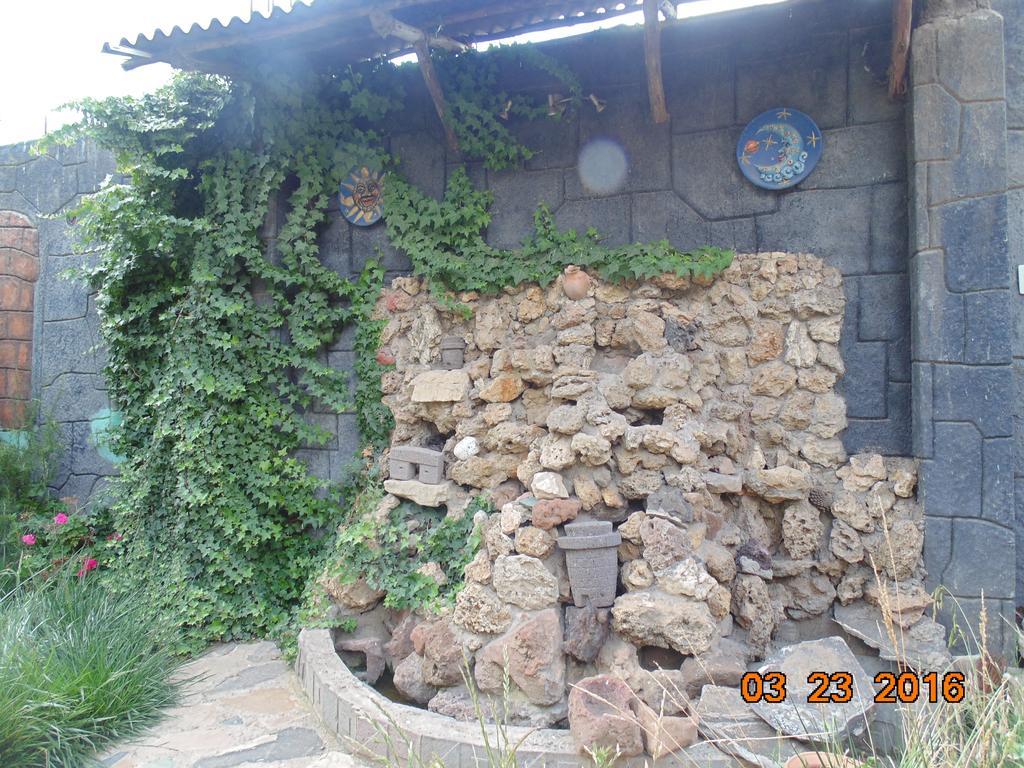 פונו Pacha Confort מראה חיצוני תמונה